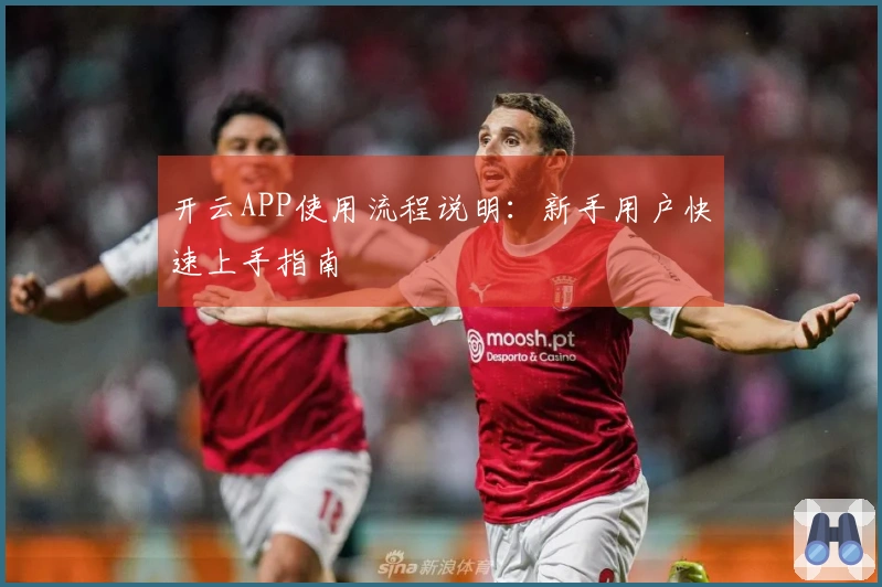 开云APP使用流程说明：新手用户快速上手指南